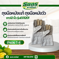 ถุงมือหนังวัว ถุงมือหนังเเท้ ยาว 12 นิ้ว รุ่นE01201(เเพ็ค 1 คู่) ถุงมือโรงงาน ถุงมือุตสหากรรม ถุงมือก่อสร้าง พร้อมส่ง