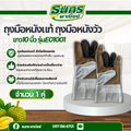 ถุงมือหนังแท้ ถุงมือหนังวัว ยาว 10 นิ้ว (E01001) ถุงมือหนังช่างเชื่อม ถุงมือหนังช่าง ถุงมือโรงงาน ถุงมืองานจับเหล็ก ถุงมือหนังขุย (แพ็ค 1 คู่)  ก 15.00