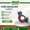 สายรัดอเนกประสงค์ สายรัดยางยืด รุ่น Belt มีความยาวให้เลือกหลายฟุต คละสี { จำนวน 1 โหล } Beit 3 F 139